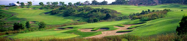 The Course